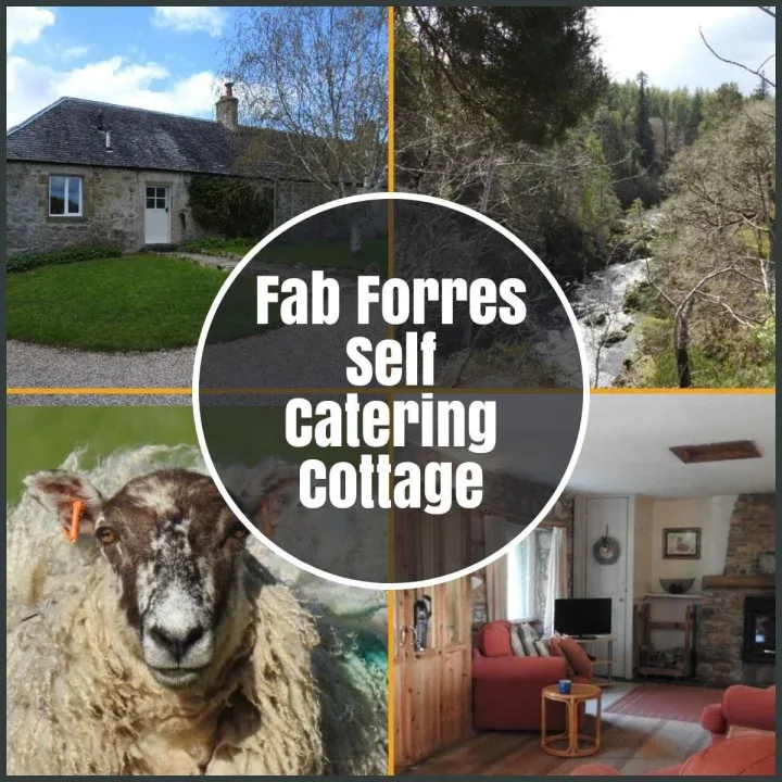 forres self catering the professional traveller