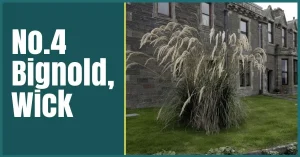 wick self catering the professional traveller featured