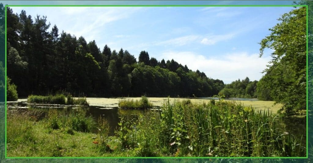 brodie castle the professional traveller lake