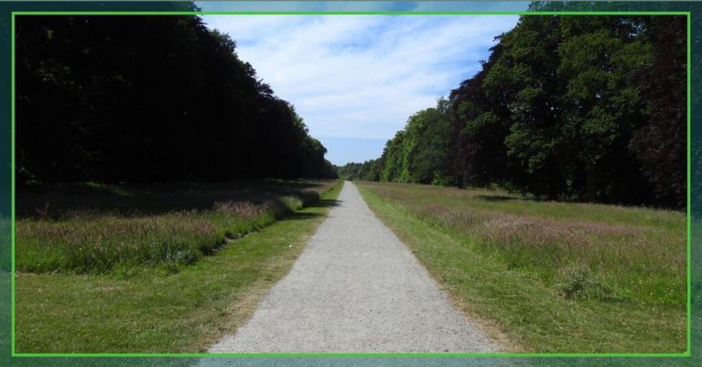 brodie castle avenue the professional traveller