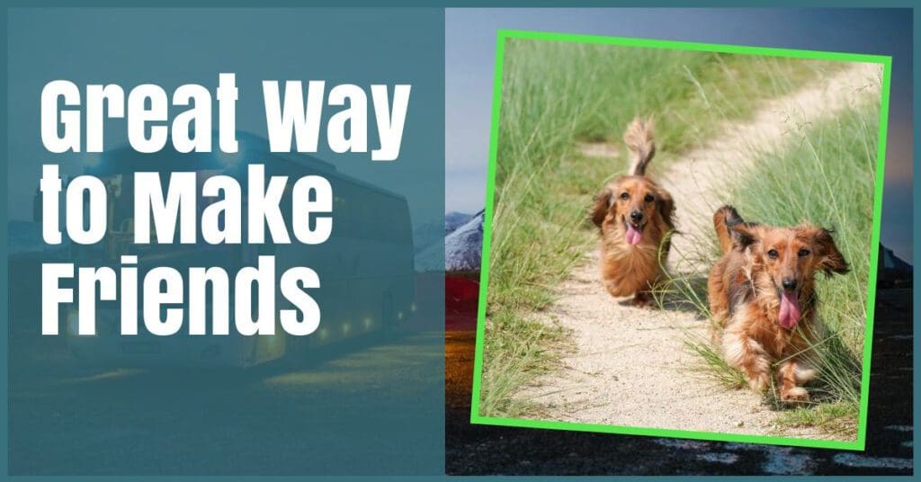 two long haired dachshunds in green frame with coach in background of photo