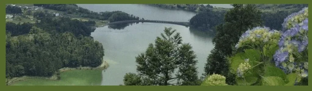 are the azores worth visiting image showing the blue and green lakes with hydrangeas