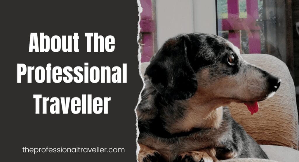about the professional traveller