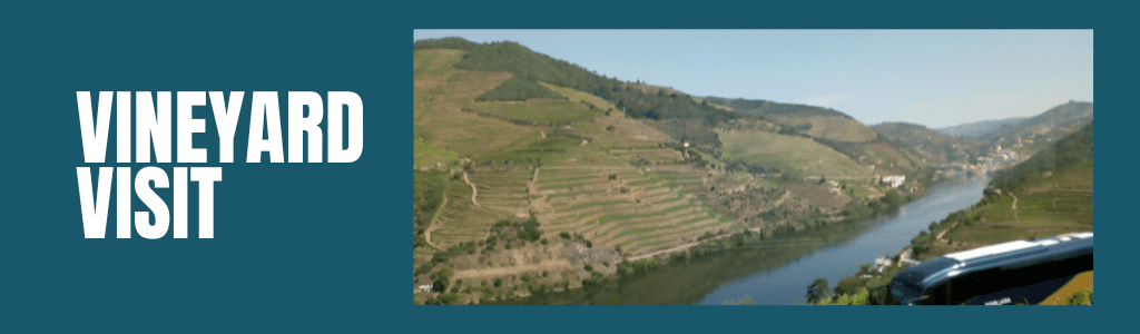 douro river cruise vineyard