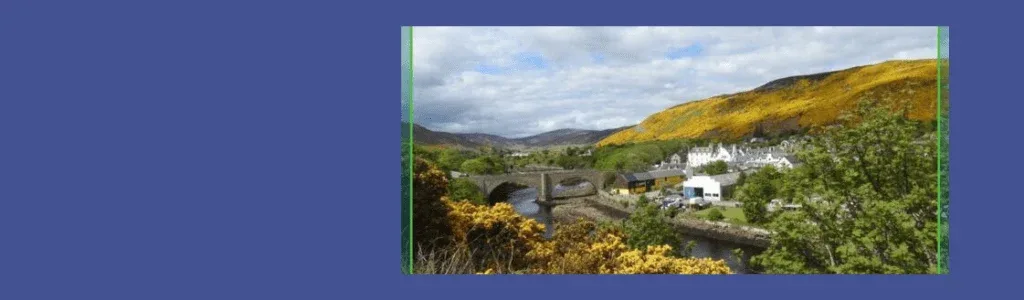 Copy of New Post Picture Format 7 1