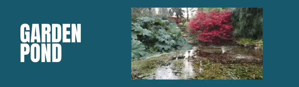 threave gardens garden pond