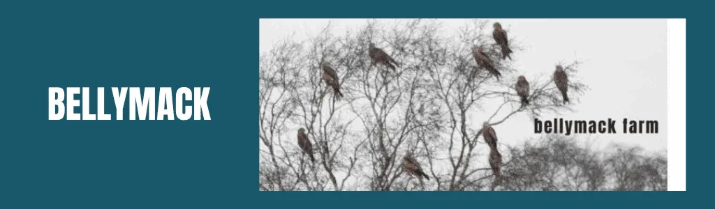 Copy of New Post Picture Format 10