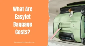 Easyjetbaggagecosts 1